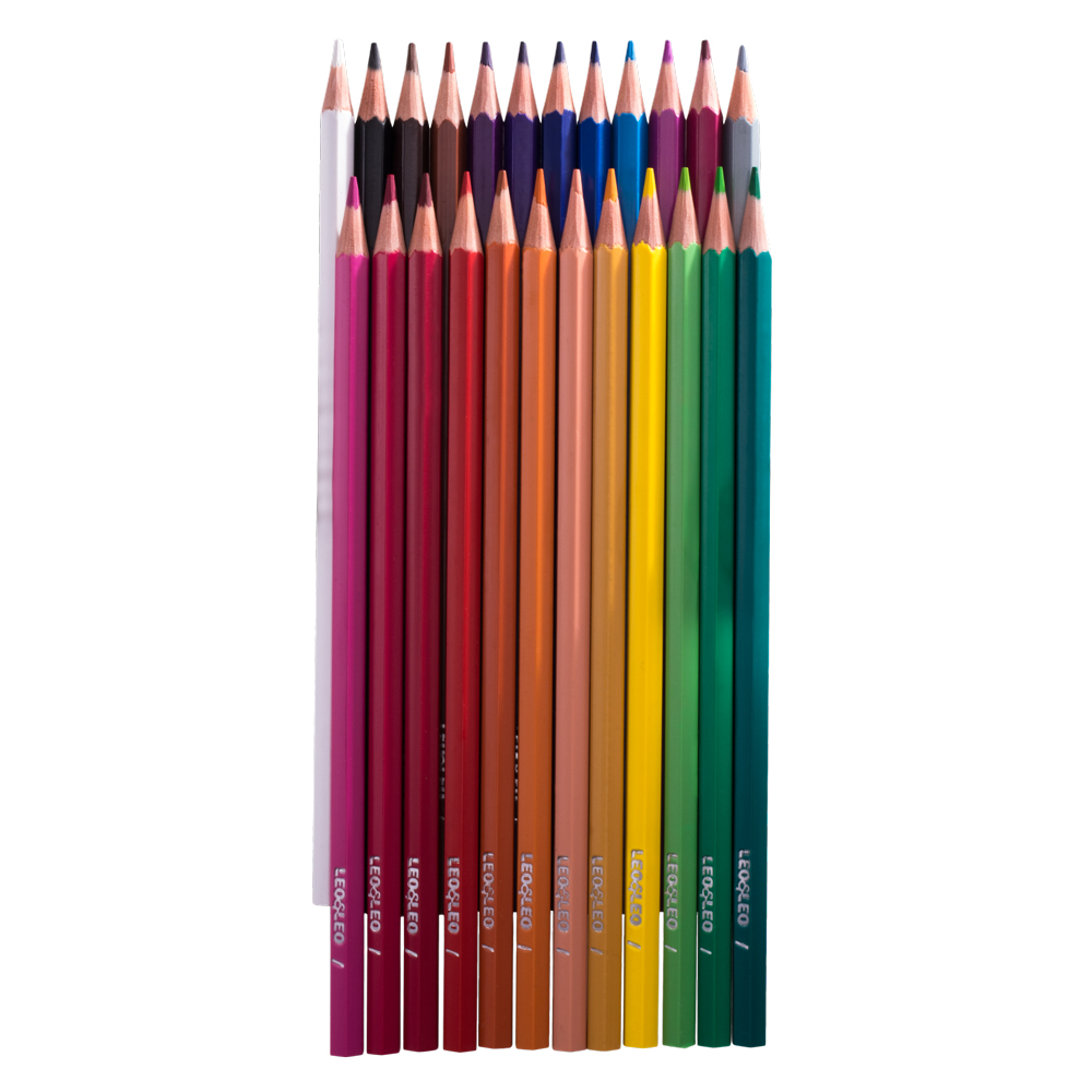 Lápis 24 cores